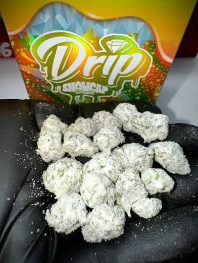 Drip Snowcaps Flower