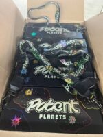 potent planets 2g disposable
