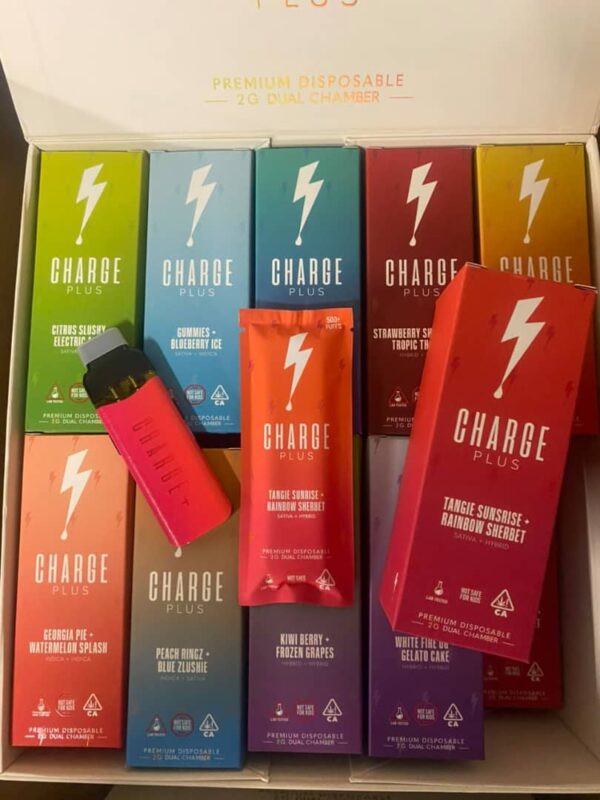 charge plus disposable 2g dual chamber